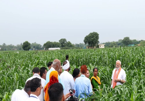 PM releases 109 high yielding, climate resilient and biofortified varieties of crops